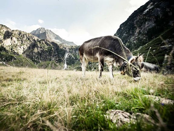 [Translate to Italienisch:] Sommerurlaub in Neustift im Stubaital